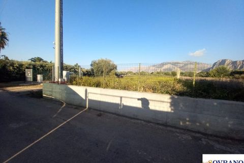 Terra a Carini, Palermo, Carini - € 1.600/mes | Ref: 154/23 - foto 6