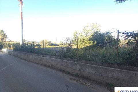 Terra a Carini, Palermo, Carini - € 1.600/mes | Ref: 154/23 - foto 7