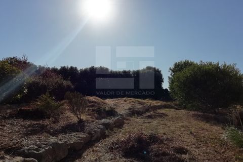 Villa a Belas, Lisbon, Belas - € 1.450.000 | Ref: MOR_9732 - foto 40