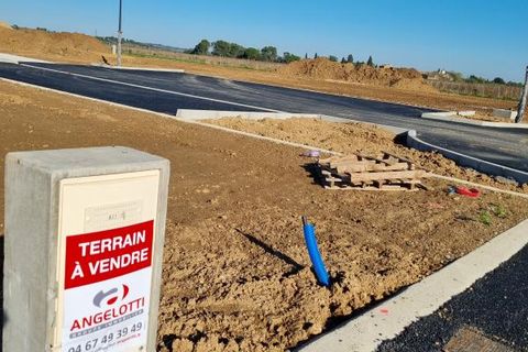 Terra a Montady, Herault, Montady - € 78.000 | Ref: 34B-COURTADE - foto 2