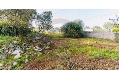 Helårsgrund i Fatima, Santarem, Fatima - € 65.000 | Ref: C0269-01643 - foto 1