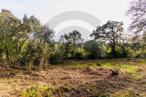 Helårsgrund i Fatima, Santarem, Fatima - € 65.000 | Ref: C0269-01643 - foto 3