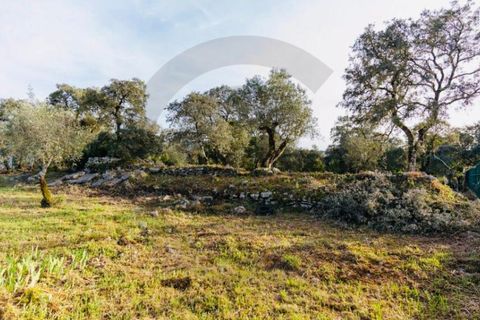 Helårsgrund i Fatima, Santarem, Fatima - € 65.000 | Ref: C0269-01643 - foto 4