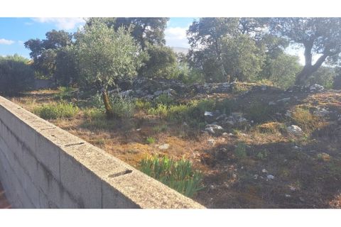 Helårsgrund i Fatima, Santarem, Fatima - € 65.000 | Ref: C0269-01643 - foto 5