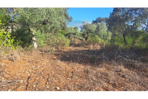 Helårsgrund i Fatima, Santarem, Fatima - € 65.000 | Ref: C0269-01643 - foto 7