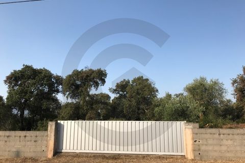 Helårsgrund i Fatima, Santarem, Fatima - € 65.000 | Ref: C0269-01643 - foto 8