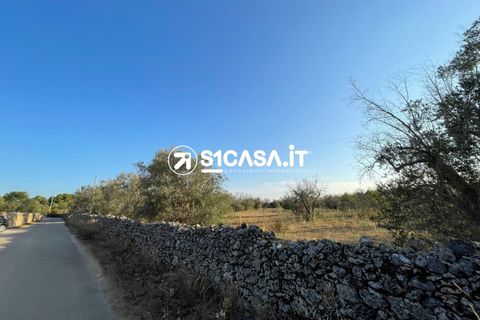 Terra a Galatone, Lecce, Galatone - € 35.000 | Ref: TOR-1283 - foto 3