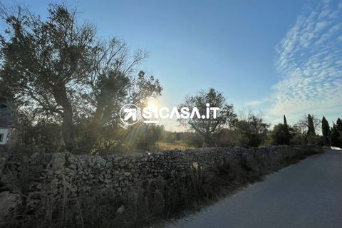 Terra a Galatone, Lecce, Galatone - € 35.000 | Ref: TOR-1283 - foto 4