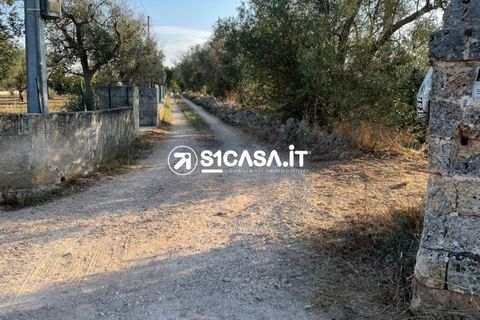 Terra a Galatone, Lecce, Galatone - € 35.000 | Ref: TOR-1283 - foto 5