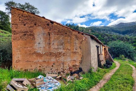 Farm i Monchique, Faro, Monchique - € 990.000 | Ref: NU_5506 - foto 8