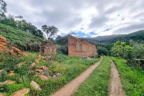 Farm i Monchique, Faro, Monchique - € 990.000 | Ref: NU_5506 - foto 9