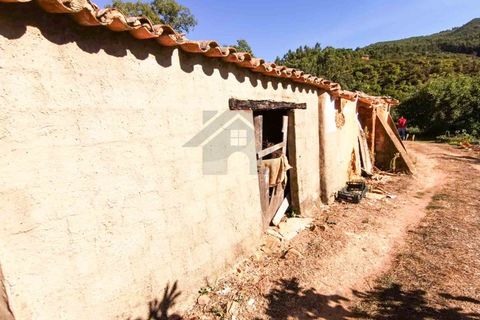 Farm i Monchique, Faro, Monchique - € 990.000 | Ref: NU_5506 - foto 7