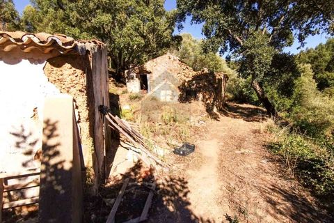 Farm i Monchique, Faro, Monchique - € 990.000 | Ref: NU_5506 - foto 11