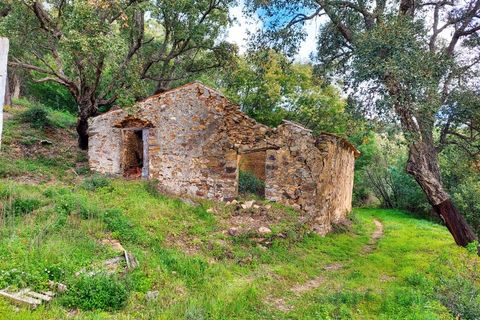 Farm i Monchique, Faro, Monchique - € 990.000 | Ref: NU_5506 - foto 12