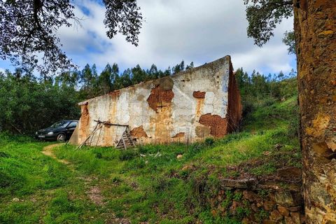 Farm i Monchique, Faro, Monchique - € 990.000 | Ref: NU_5506 - foto 13