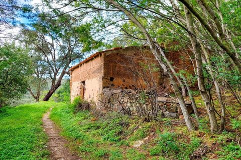 Farm i Monchique, Faro, Monchique - € 990.000 | Ref: NU_5506 - foto 14