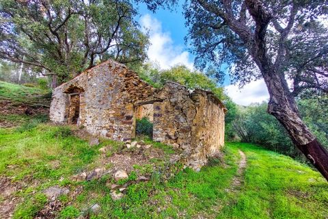 Farm i Monchique, Faro, Monchique - € 990.000 | Ref: NU_5506 - foto 15