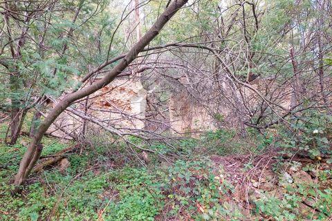 Farm i Monchique, Faro, Monchique - € 990.000 | Ref: NU_5506 - foto 16