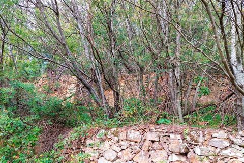 Farm i Monchique, Faro, Monchique - € 990.000 | Ref: NU_5506 - foto 17