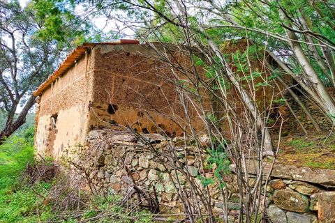Farm i Monchique, Faro, Monchique - € 990.000 | Ref: NU_5506 - foto 18