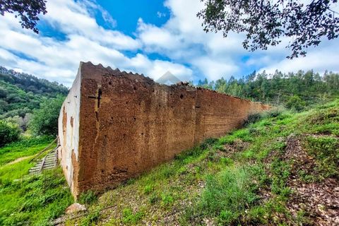 Farm i Monchique, Faro, Monchique - € 990.000 | Ref: NU_5506 - foto 19