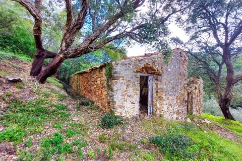 Farm i Monchique, Faro, Monchique - € 990.000 | Ref: NU_5506 - foto 20