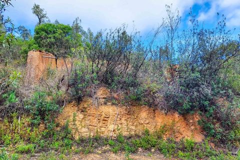 Farm i Monchique, Faro, Monchique - € 990.000 | Ref: NU_5506 - foto 21