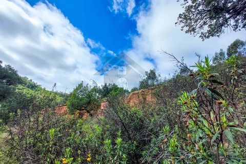 Farm i Monchique, Faro, Monchique - € 990.000 | Ref: NU_5506 - foto 22