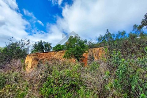 Farm i Monchique, Faro, Monchique - € 990.000 | Ref: NU_5506 - foto 23