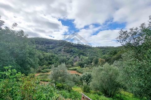 Farm i Monchique, Faro, Monchique - € 990.000 | Ref: NU_5506 - foto 24