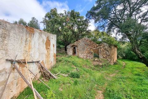 Farm i Monchique, Faro, Monchique - € 990.000 | Ref: NU_5506 - foto 25