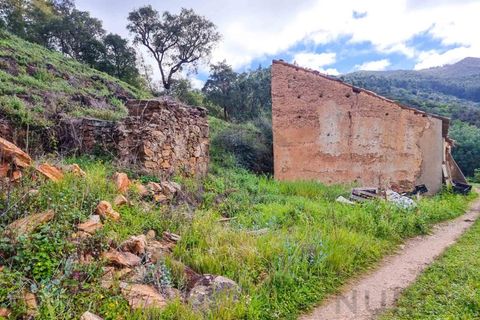 Farm i Monchique, Faro, Monchique - € 990.000 | Ref: NU_5506 - foto 26