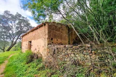 Farm i Monchique, Faro, Monchique - € 990.000 | Ref: NU_5506 - foto 27