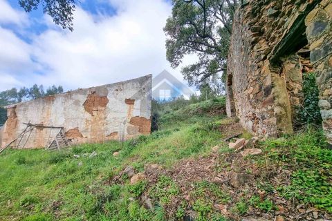 Farm i Monchique, Faro, Monchique - € 990.000 | Ref: NU_5506 - foto 28