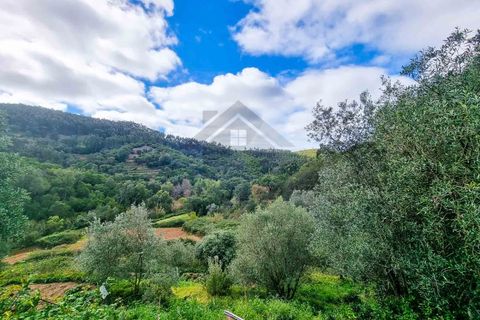 Farm i Monchique, Faro, Monchique - € 990.000 | Ref: NU_5506 - foto 29