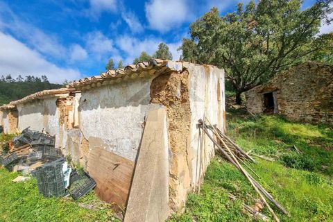Farm i Monchique, Faro, Monchique - € 990.000 | Ref: NU_5506 - foto 30