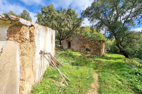 Farm i Monchique, Faro, Monchique - € 990.000 | Ref: NU_5506 - foto 31