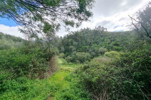 Farm i Monchique, Faro, Monchique - € 990.000 | Ref: NU_5506 - foto 32