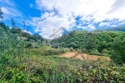 Farm i Monchique, Faro, Monchique - € 990.000 | Ref: NU_5506 - foto 33