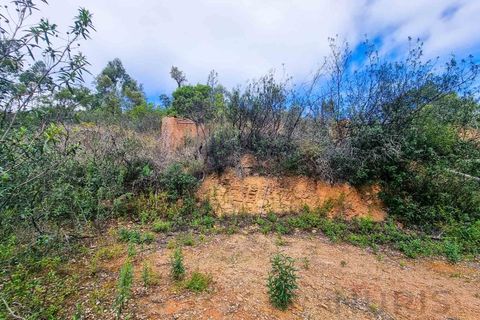 Farm i Monchique, Faro, Monchique - € 990.000 | Ref: NU_5506 - foto 34