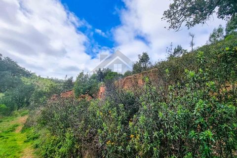 Farm i Monchique, Faro, Monchique - € 990.000 | Ref: NU_5506 - foto 35