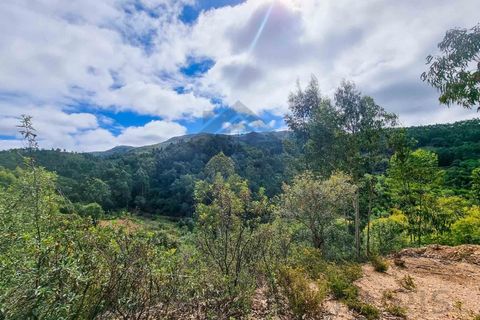 Farm i Monchique, Faro, Monchique - € 990.000 | Ref: NU_5506 - foto 37