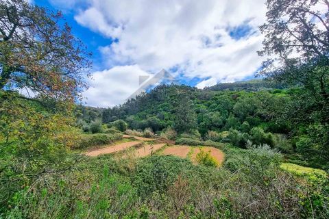 Farm i Monchique, Faro, Monchique - € 990.000 | Ref: NU_5506 - foto 38