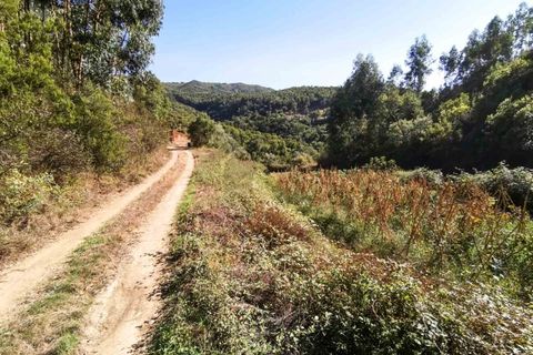 Farm i Monchique, Faro, Monchique - € 990.000 | Ref: NU_5506 - foto 39