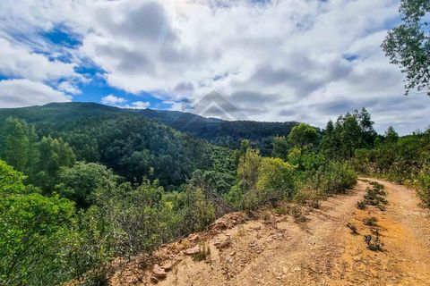 Farm i Monchique, Faro, Monchique - € 990.000 | Ref: NU_5506 - foto 40