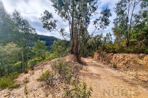 Farm i Monchique, Faro, Monchique - € 990.000 | Ref: NU_5506 - foto 41