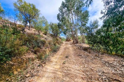 Farm i Monchique, Faro, Monchique - € 990.000 | Ref: NU_5506 - foto 42
