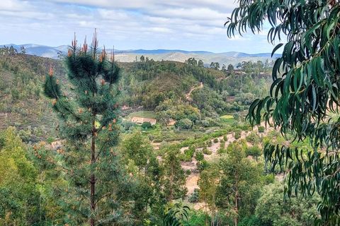 Farm i Monchique, Faro, Monchique - € 990.000 | Ref: NU_5506 - foto 43