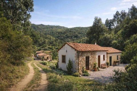 Farm i Monchique, Faro, Monchique - € 990.000 | Ref: NU_5506 - foto 2