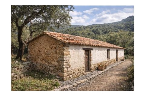 Farm i Monchique, Faro, Monchique - € 990.000 | Ref: NU_5506 - foto 3